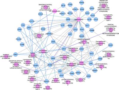 Exploring lipodystrophy gene expression in adipocytes: unveiling insights into the pathogenesis of insulin resistance, type 2 diabetes, and clustering diseases (metabolic syndrome) in Asian Indians